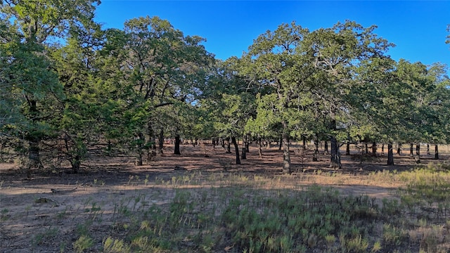 Listing photo 3 for TBD Thompson Rd, Saint Jo TX 76265