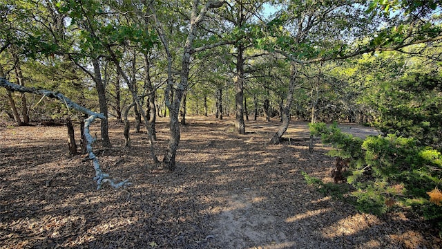 TBD Thompson Rd, Saint Jo, TX 76265
