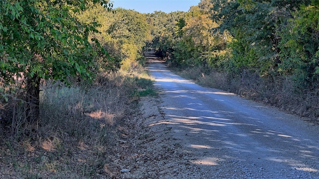 TBD Thompson Rd, Saint Jo, TX 76265