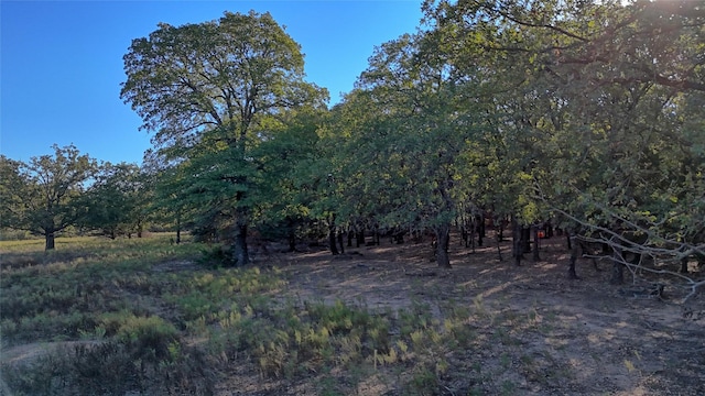 TBD Thompson Rd, Saint Jo, TX 76265