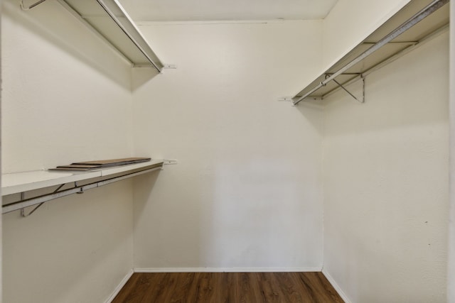 spacious closet with dark wood-type flooring