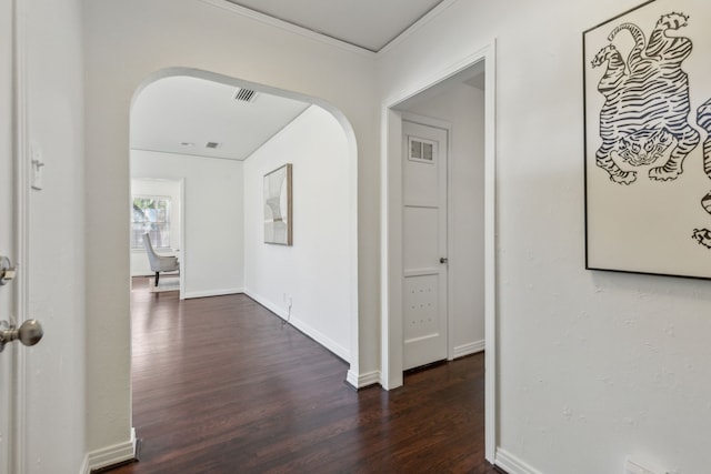 corridor featuring crown molding and dark hardwood / wood-style flooring