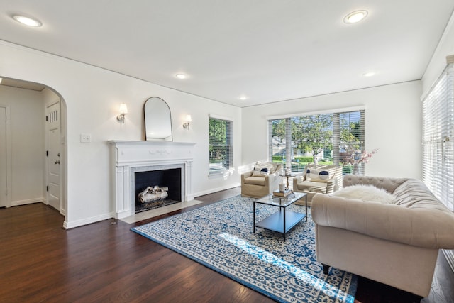 living room with a wealth of natural light and dark hardwood / wood-style floors