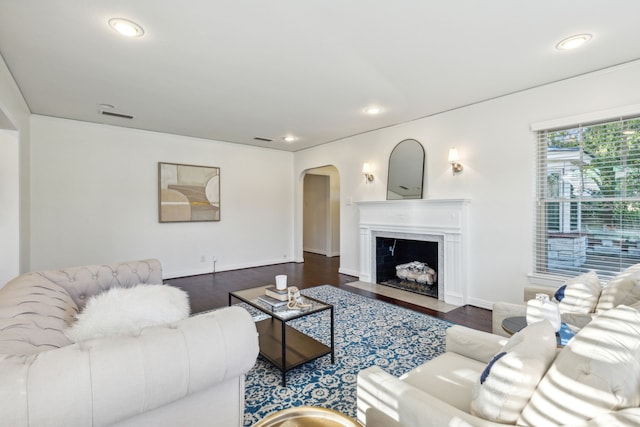 living room featuring dark wood-type flooring