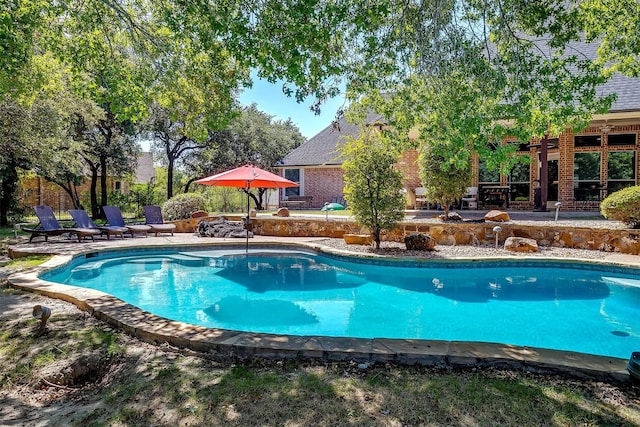 view of pool featuring a patio area