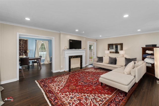 living room with ornamental molding, dark hardwood / wood-style floors, and a premium fireplace