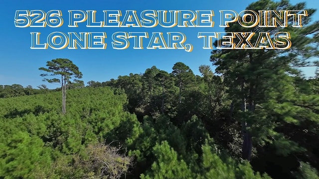 Listing photo 2 for 526 Pleasure Pt, Avinger TX 75668