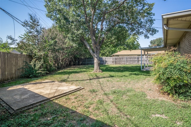 view of yard featuring a patio