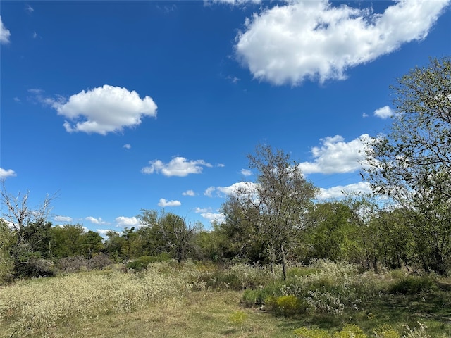 TBDLOT21 Frank St, Terrell TX, 75160 land for sale