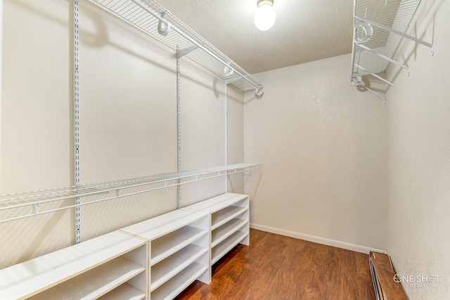 spacious closet featuring dark hardwood / wood-style flooring