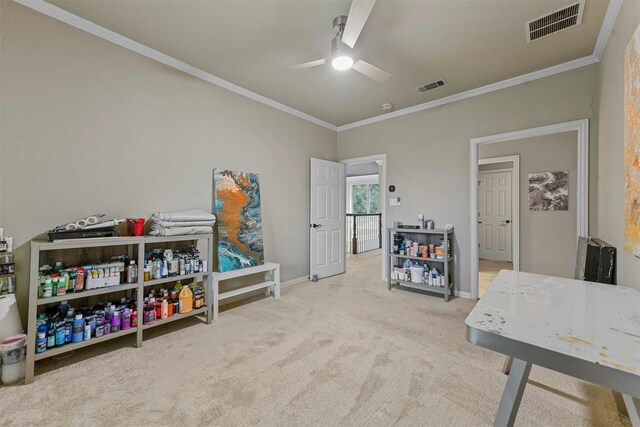 bathroom featuring vanity and crown molding