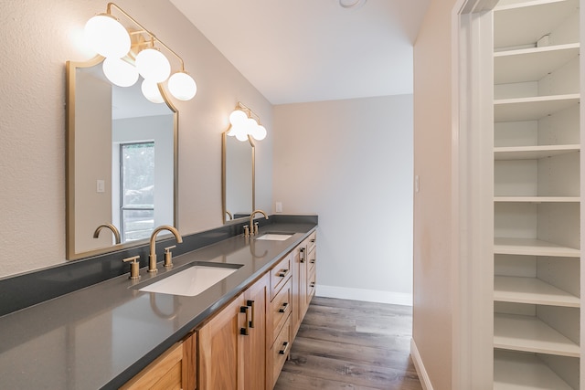 bathroom featuring wood-type flooring and vanity