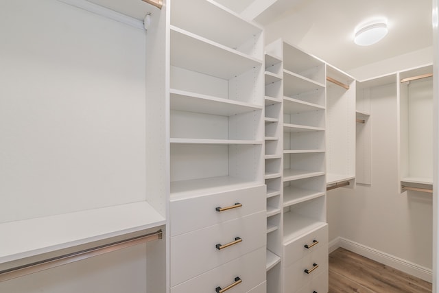 spacious closet with wood-type flooring