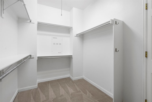 spacious closet with carpet flooring