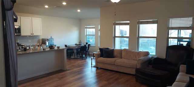 living room with dark hardwood / wood-style flooring