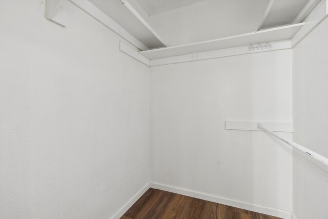 spacious closet with dark hardwood / wood-style flooring