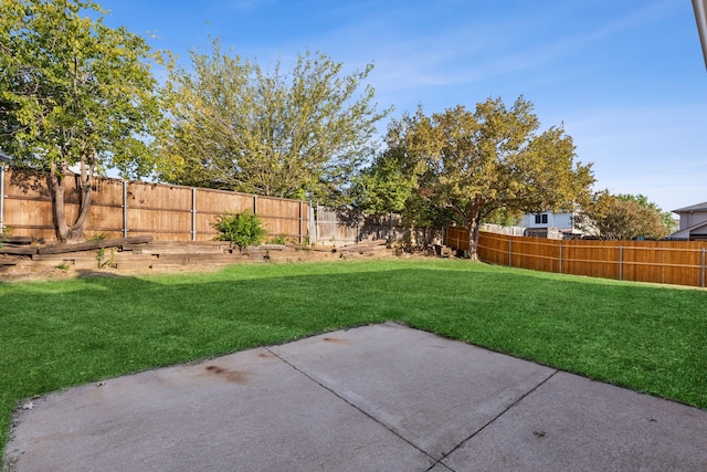 view of yard featuring a patio