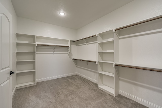 spacious closet featuring light carpet