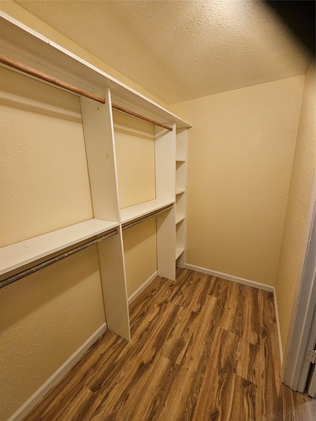 walk in closet featuring dark hardwood / wood-style flooring