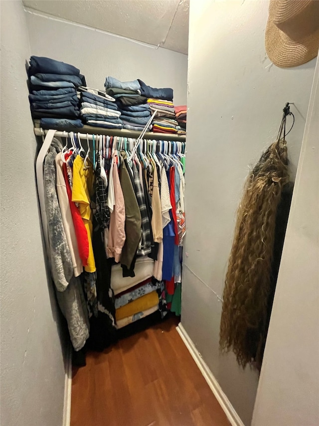 walk in closet with hardwood / wood-style flooring