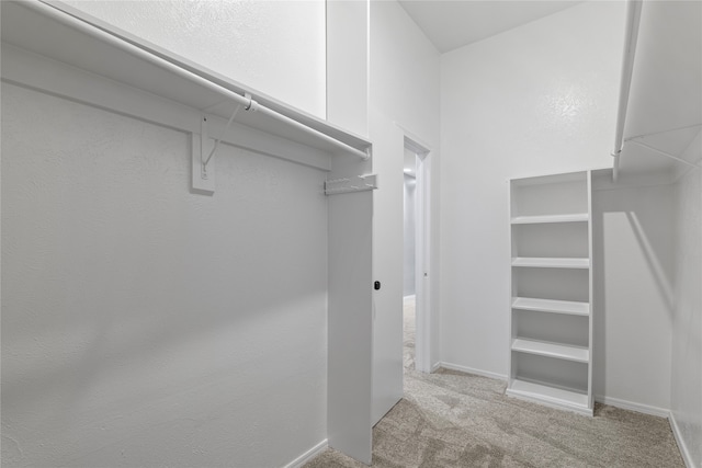 walk in closet with light carpet