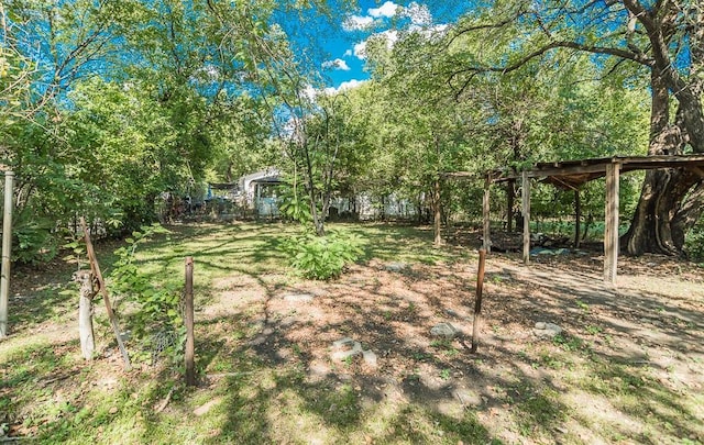 2223 Marburg St, Dallas, TX 75215 - view of yard