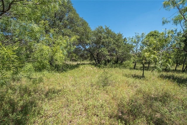 Listing photo 3 for 000 Glenhollow Dr, Gordon TX 76453