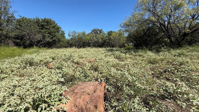000 Glenhollow Dr, Gordon, TX 76453