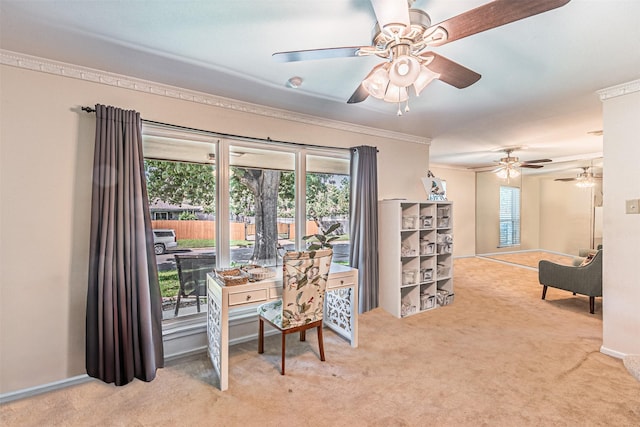 carpeted office with ornamental molding