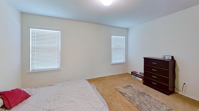 carpeted bedroom with multiple windows