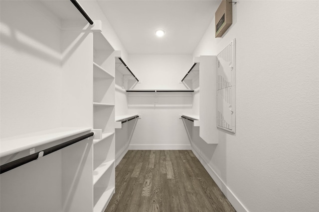 walk in closet with dark wood finished floors