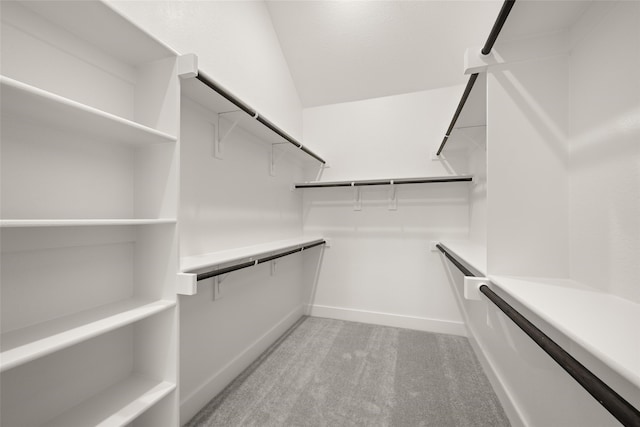 spacious closet with light colored carpet