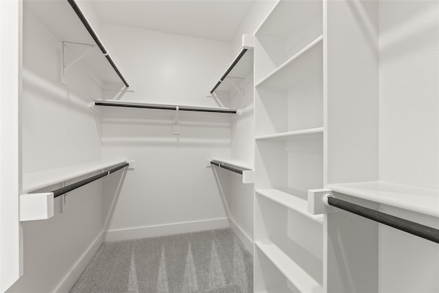 spacious closet with light colored carpet