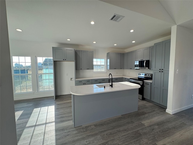 kitchen with an island with sink, stainless steel appliances, gray cabinets, and sink