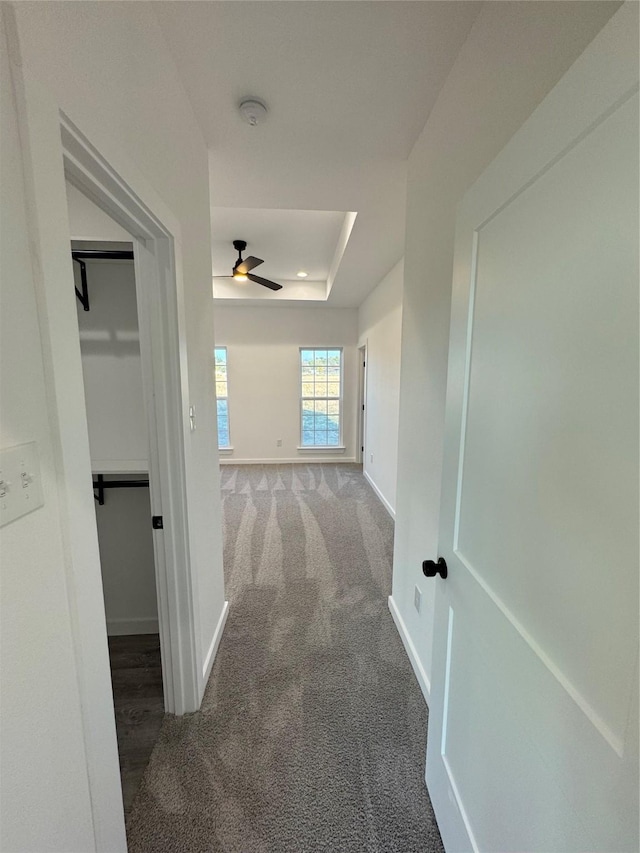 hall featuring a tray ceiling and carpet