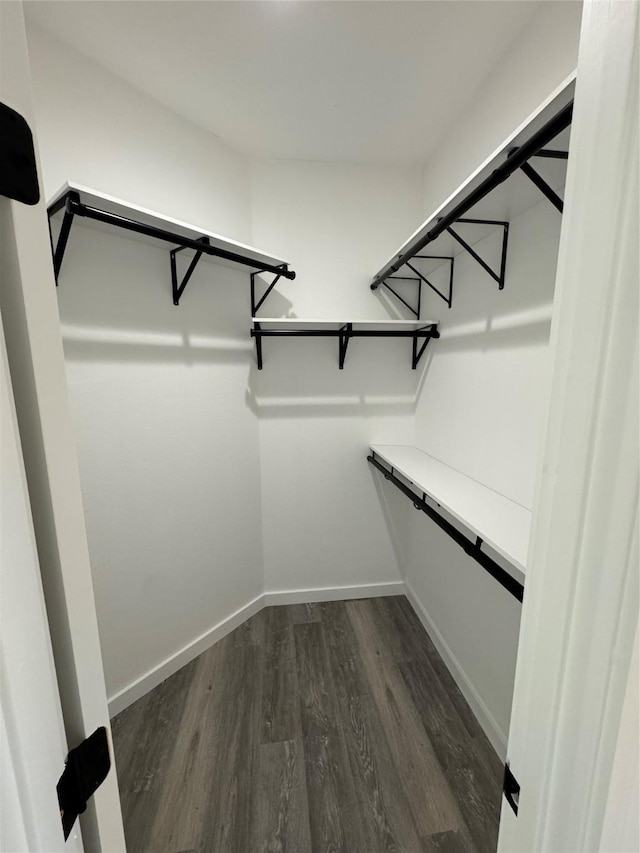 spacious closet with dark hardwood / wood-style flooring