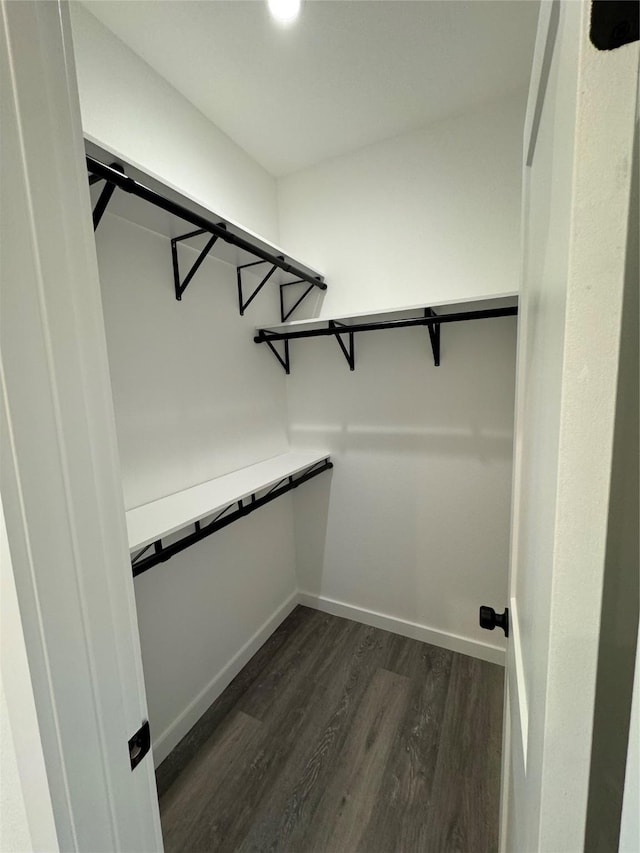 spacious closet with dark wood-type flooring