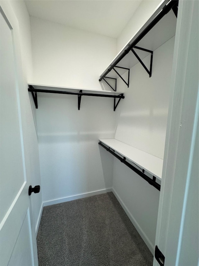 walk in closet with dark colored carpet