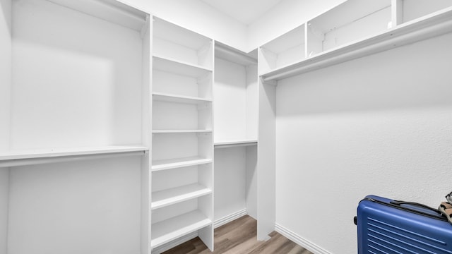 spacious closet with wood-type flooring