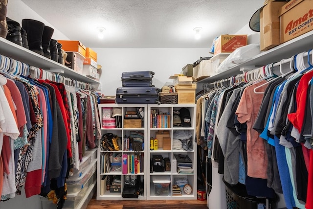 walk in closet with wood-type flooring