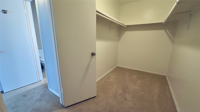 spacious closet featuring light carpet