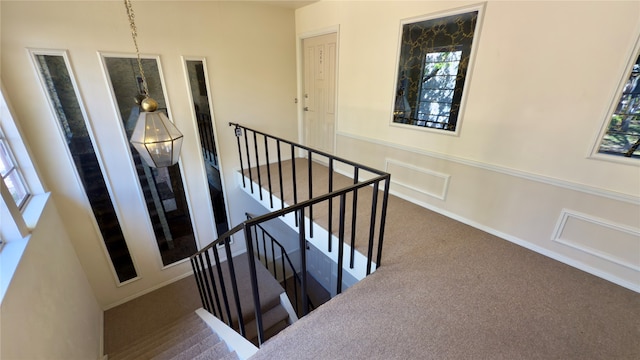 staircase featuring carpet floors and plenty of natural light