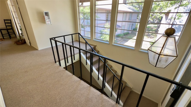 stairway featuring carpet floors