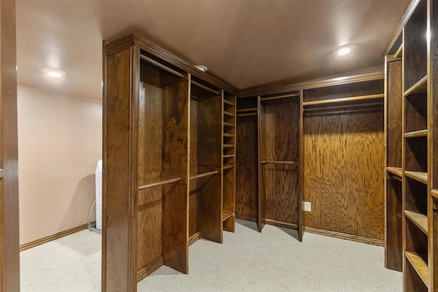 walk in closet with light carpet