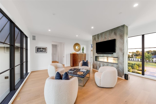 living room featuring light hardwood / wood-style flooring