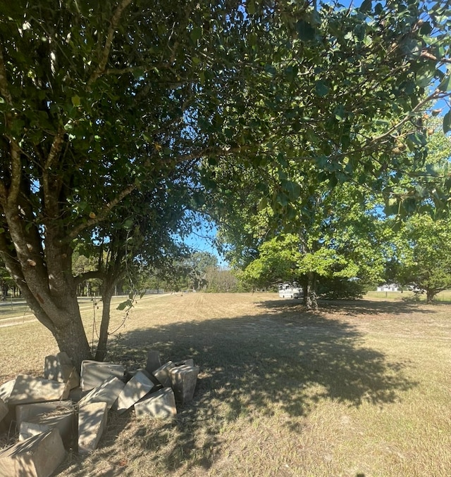 view of yard with a rural view