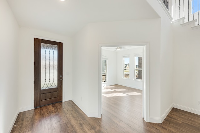 foyer entrance featuring plenty of natural light and dark wood-type flooring