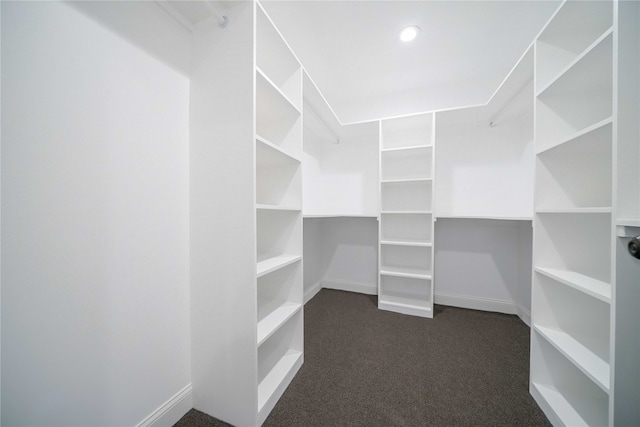 spacious closet with dark carpet