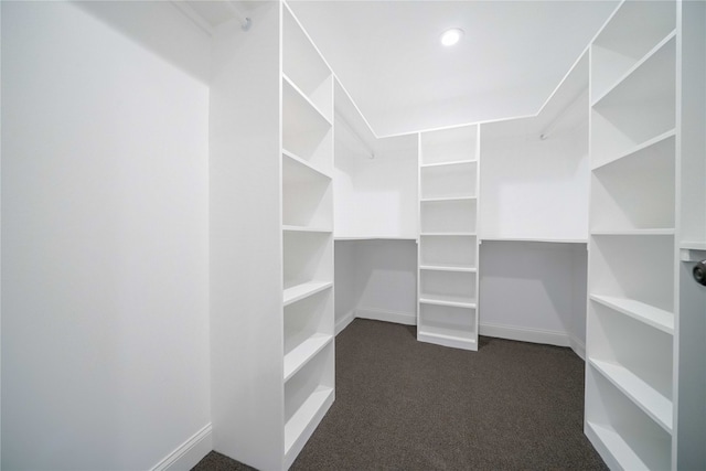 4944 Vega Ct W, Fort Worth, TX 76133 - walk in closet with dark carpet
