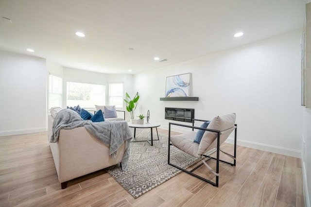 living room featuring light wood-type flooring